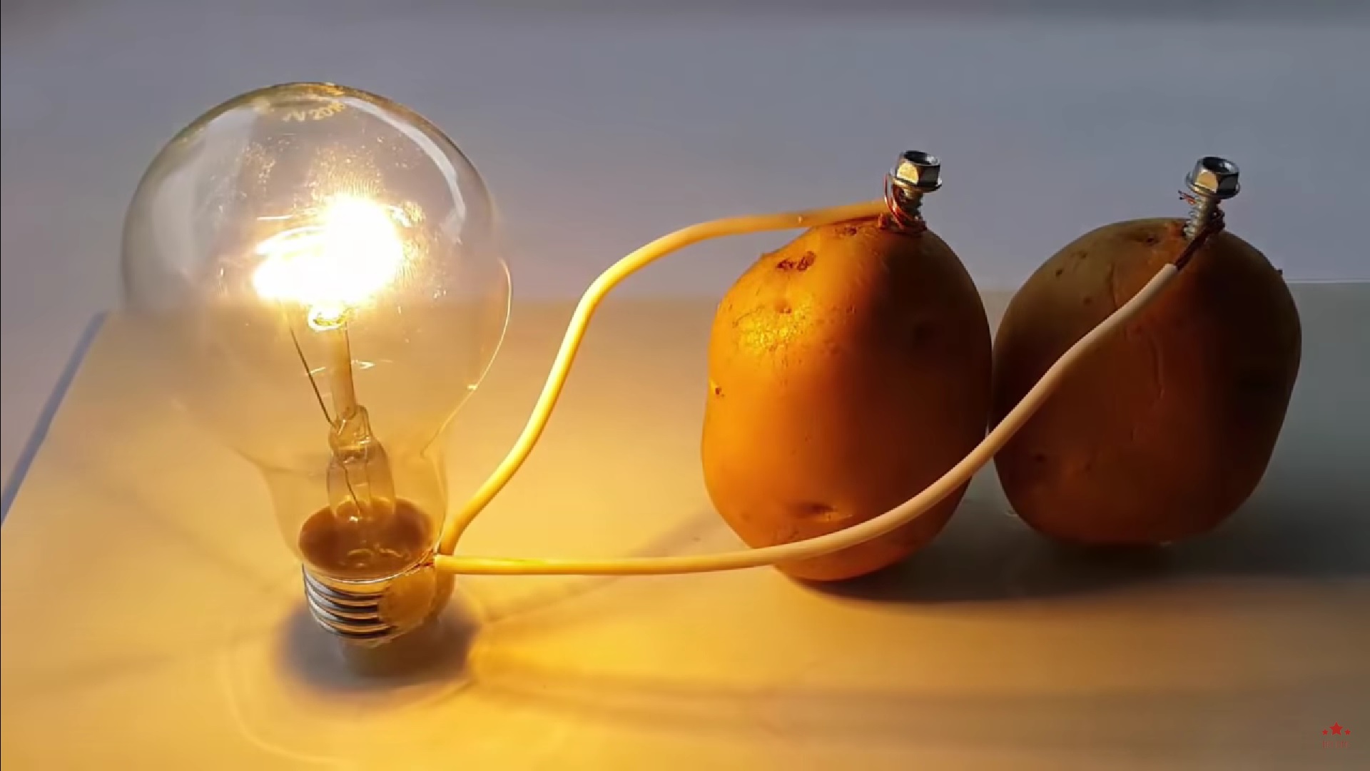 Már egyetlen krumplival is rengeteg áramot spórolhatunk meg – Így lesz krumpliból áram!